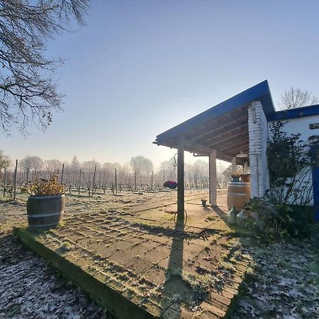 LemelerveldWijnstaete住宿加早餐旅馆 外观 照片